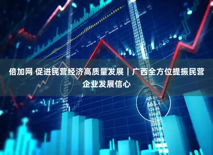 倍加网 促进民营经济高质量发展｜广西全方位提振民营企业发展信心