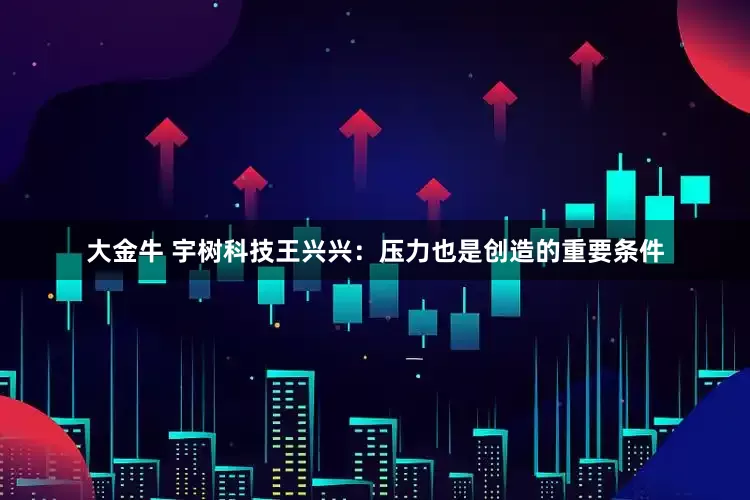 大金牛 宇树科技王兴兴：压力也是创造的重要条件