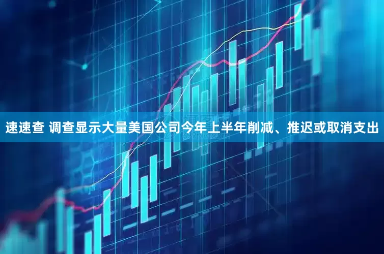 速速查 调查显示大量美国公司今年上半年削减、推迟或取消支出