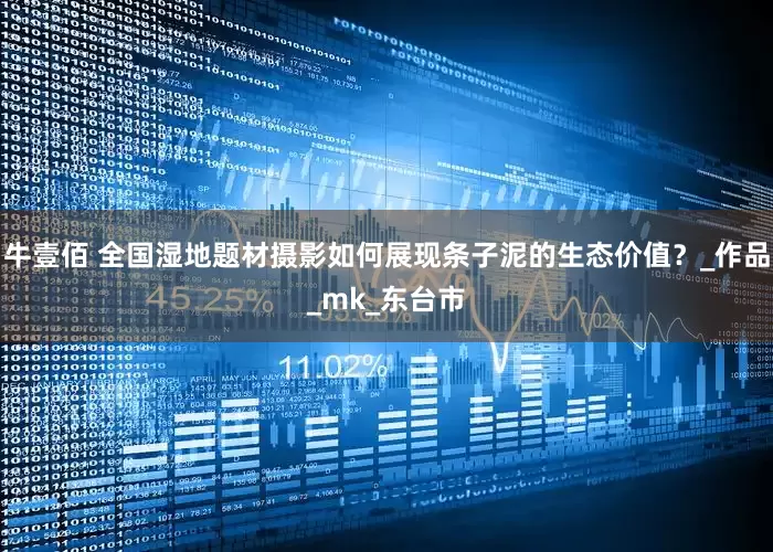 牛壹佰 全国湿地题材摄影如何展现条子泥的生态价值？_作品_mk_东台市