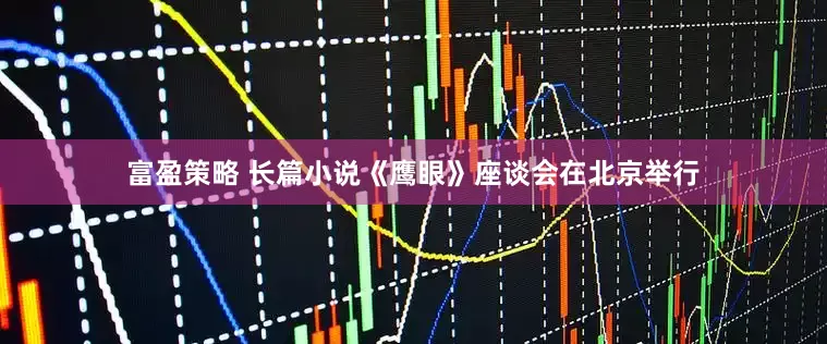 富盈策略 长篇小说《鹰眼》座谈会在北京举行