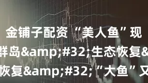 金铺子配资 “美人鱼”现身南沙群岛&#32;生态恢复&#32;“大鱼”又回来了